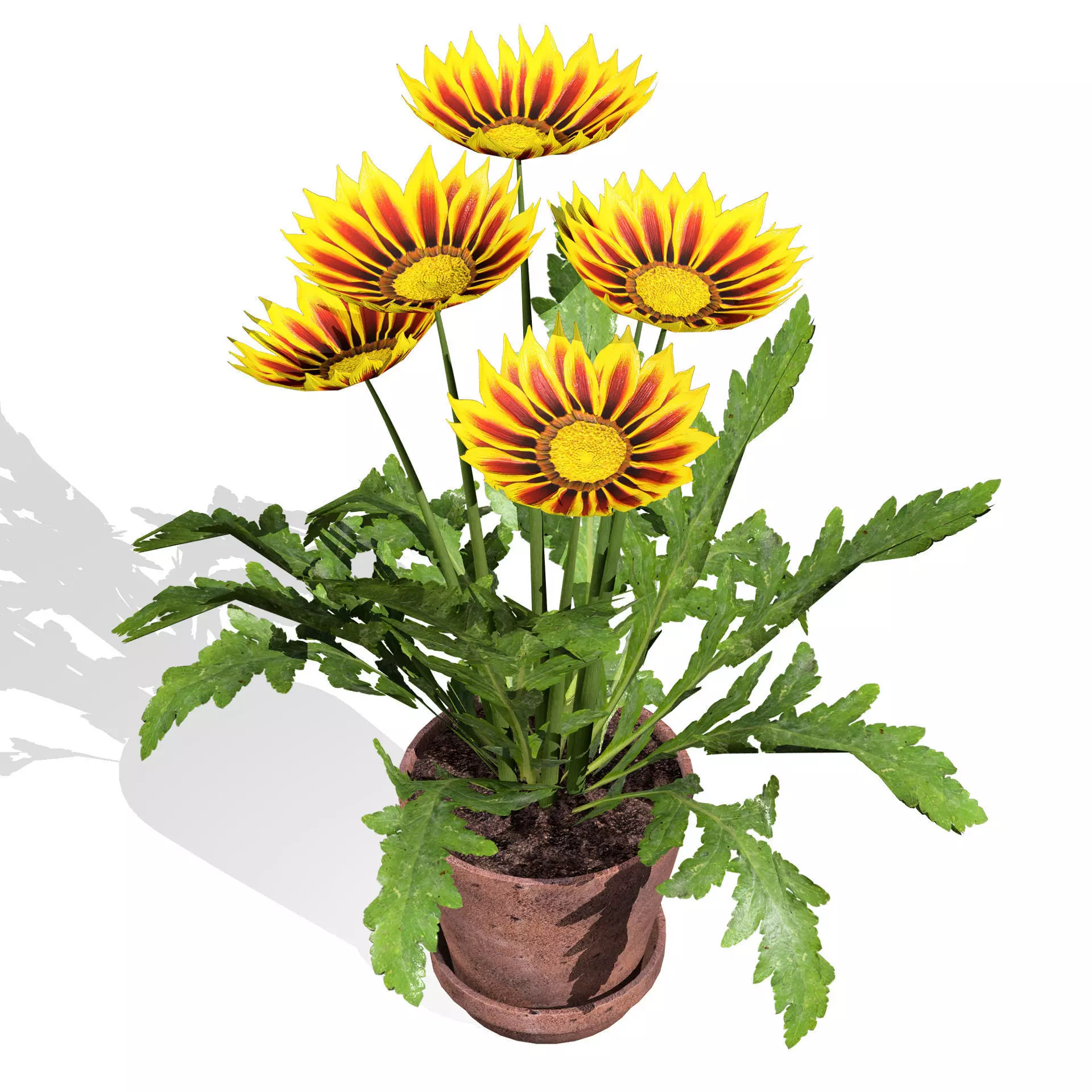 Realistic South African Vegetation 3D Models 3D Model Collection_98