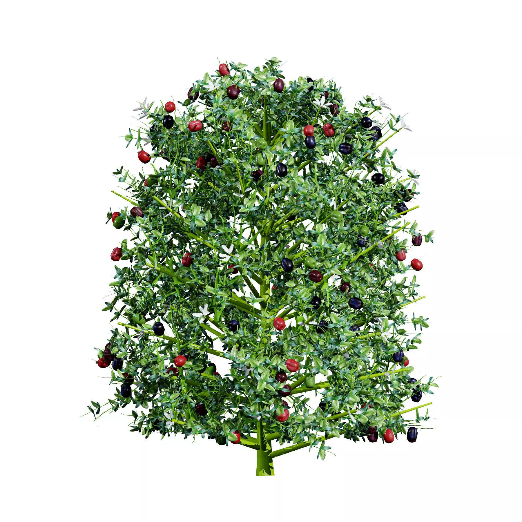 Realistic South African Vegetation 3D Models 3D Model Collection_114