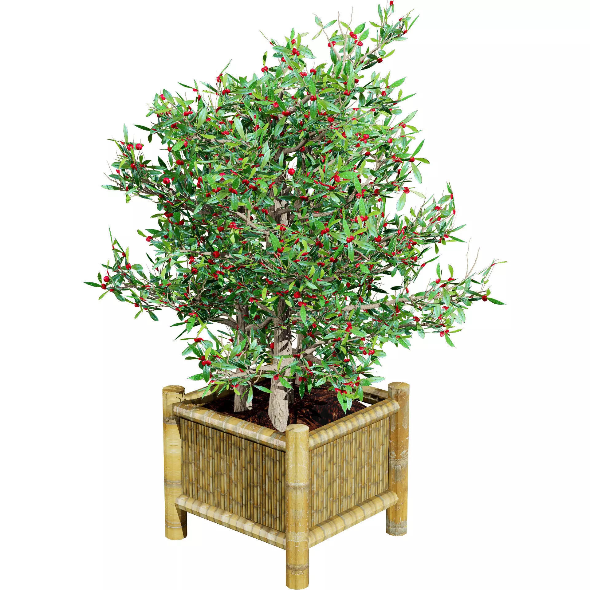 Realistic South African Vegetation 3D Models 3D Model Collection_107