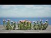 Realistic South African Vegetation 3D Models 3D Model Collection_4