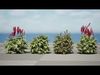 Realistic South African Vegetation 3D Models 3D Model Collection_6