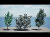Realistic South African Vegetation 3D Models 3D Model Collection_7