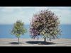 Realistic South African Vegetation 3D Models 3D Model Collection_9