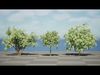 Realistic South African Vegetation 3D Models 3D Model Collection_11