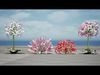 Realistic South African Vegetation 3D Models 3D Model Collection_13