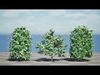Realistic South African Vegetation 3D Models 3D Model Collection_14