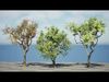 Realistic South African Vegetation 3D Models 3D Model Collection_18