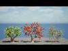 Realistic South African Vegetation 3D Models 3D Model Collection_23