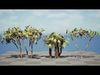 Realistic South African Vegetation 3D Models 3D Model Collection_28