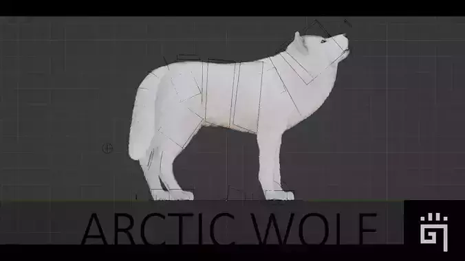 Arctic Wolf