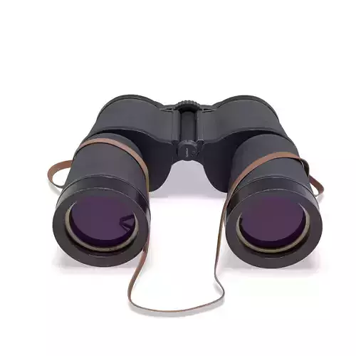 Binocular Model