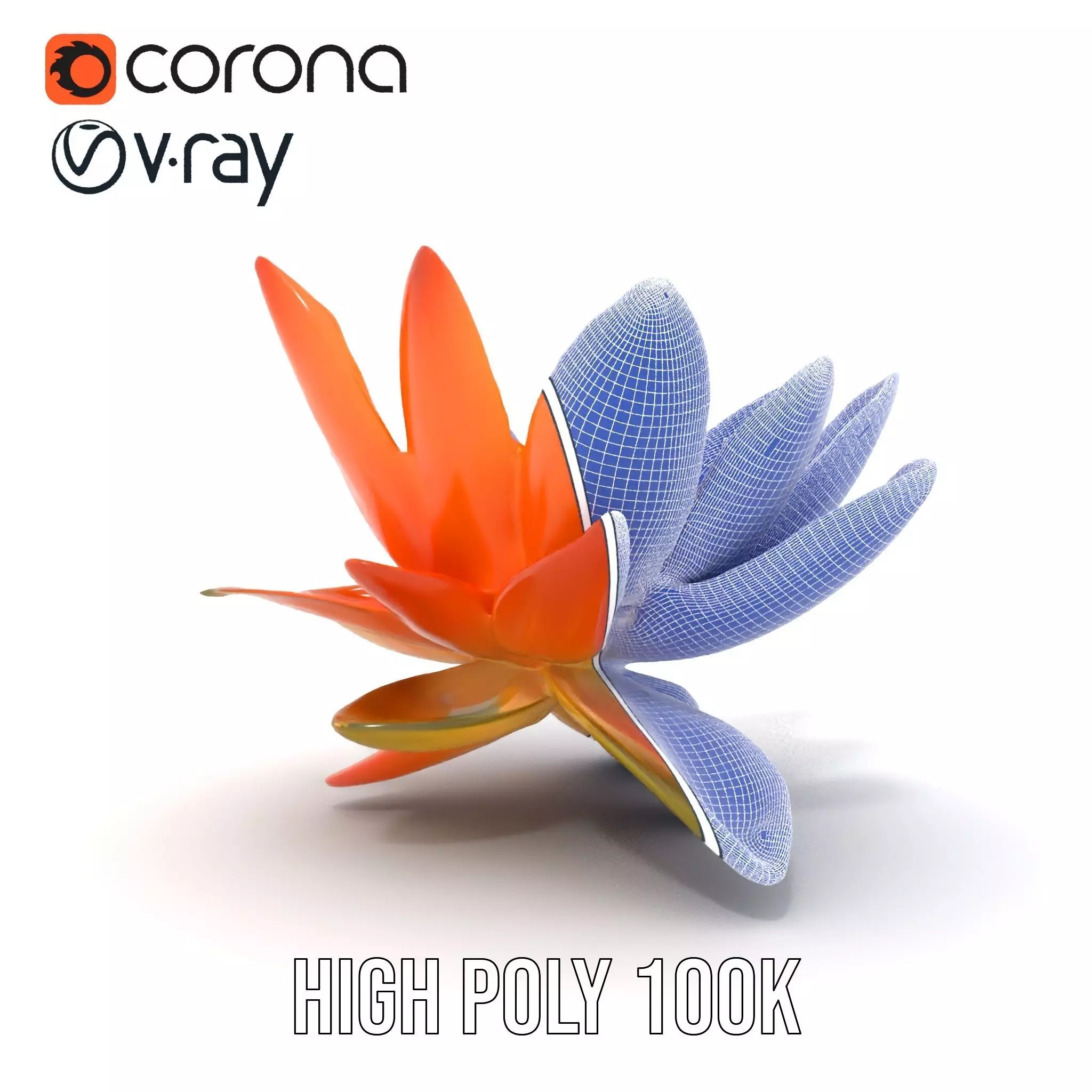 Vibrant Lotus Blossom model pack Low-poly 3D model_35