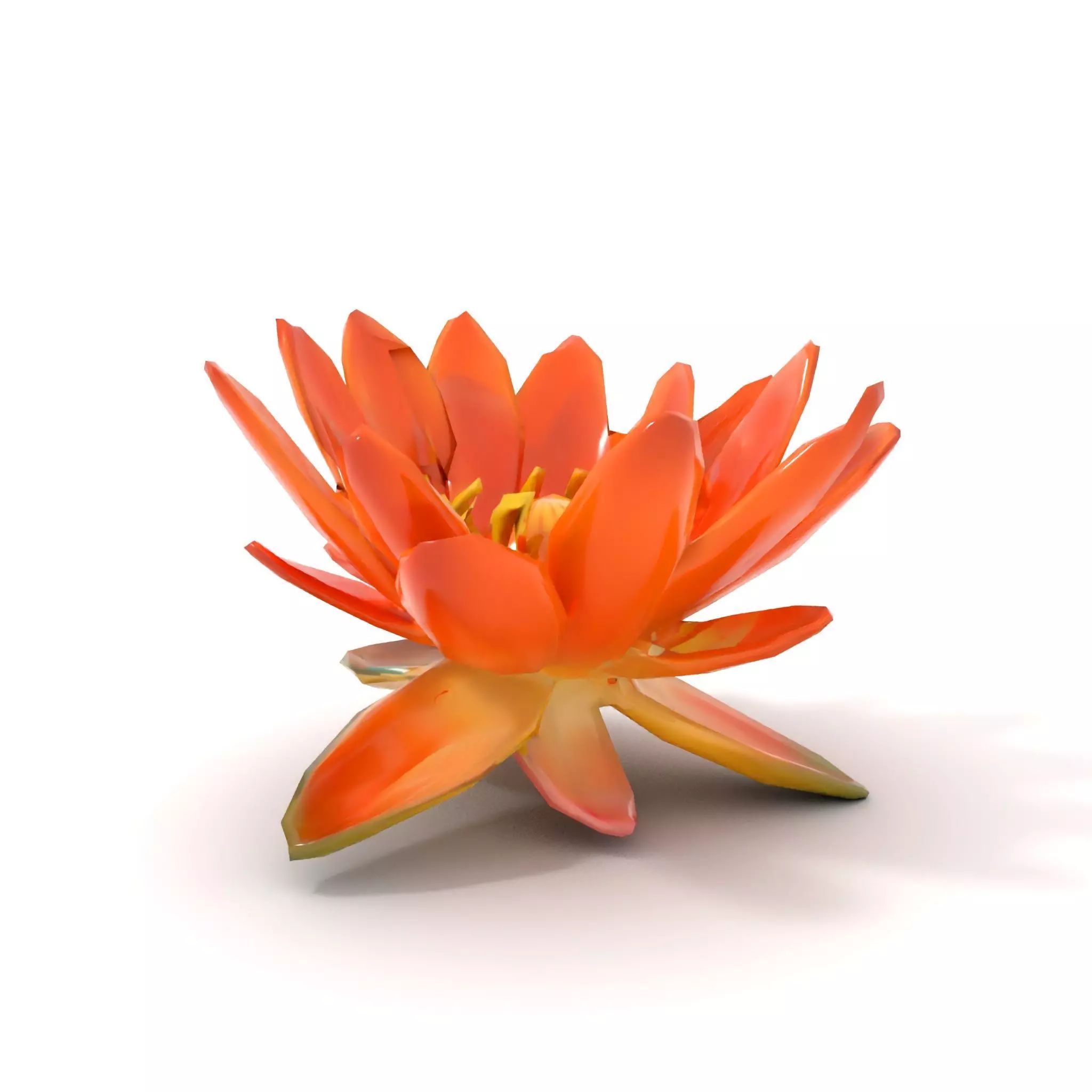 Vibrant Lotus Blossom model pack Low-poly 3D model_8