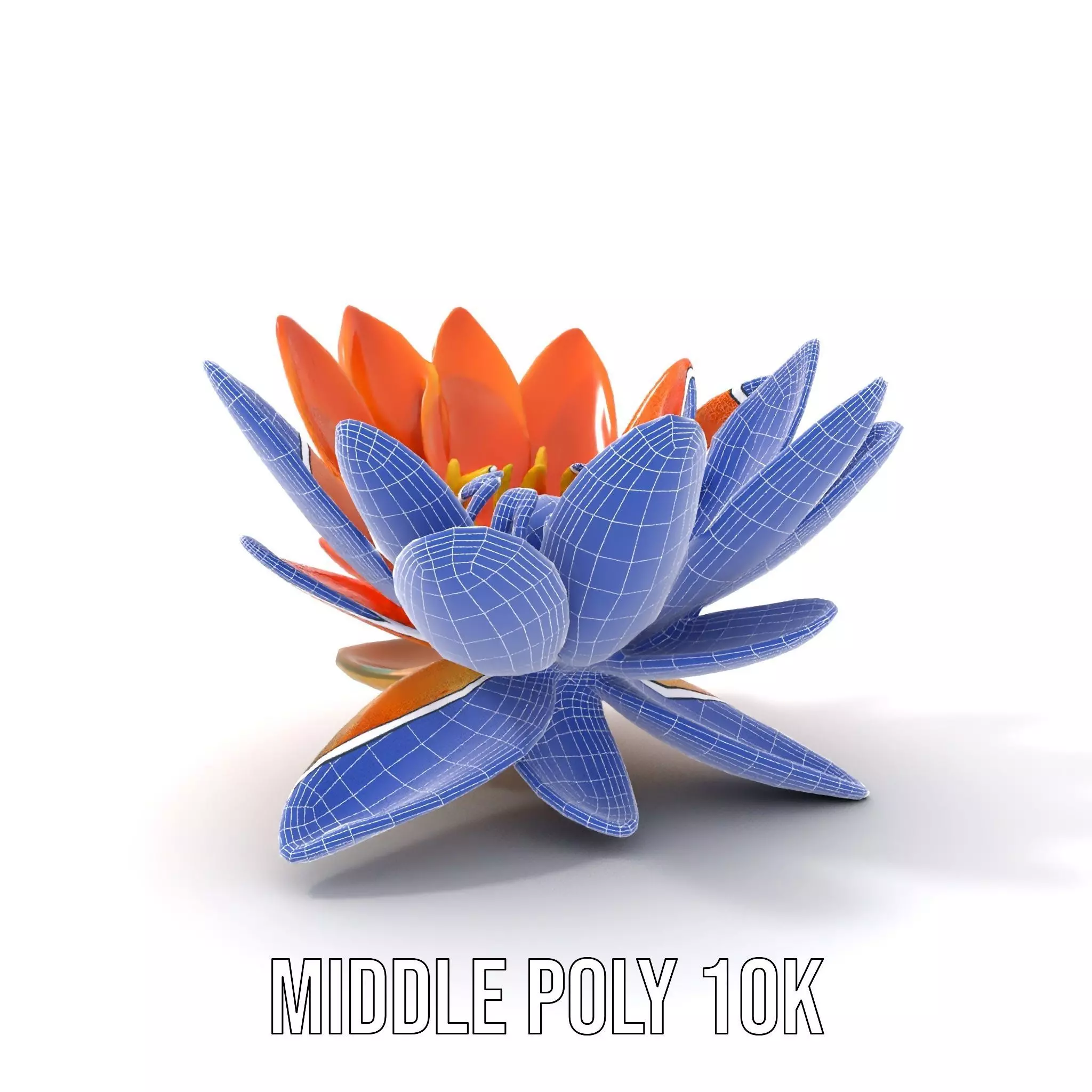 Vibrant Lotus Blossom model pack Low-poly 3D model_14