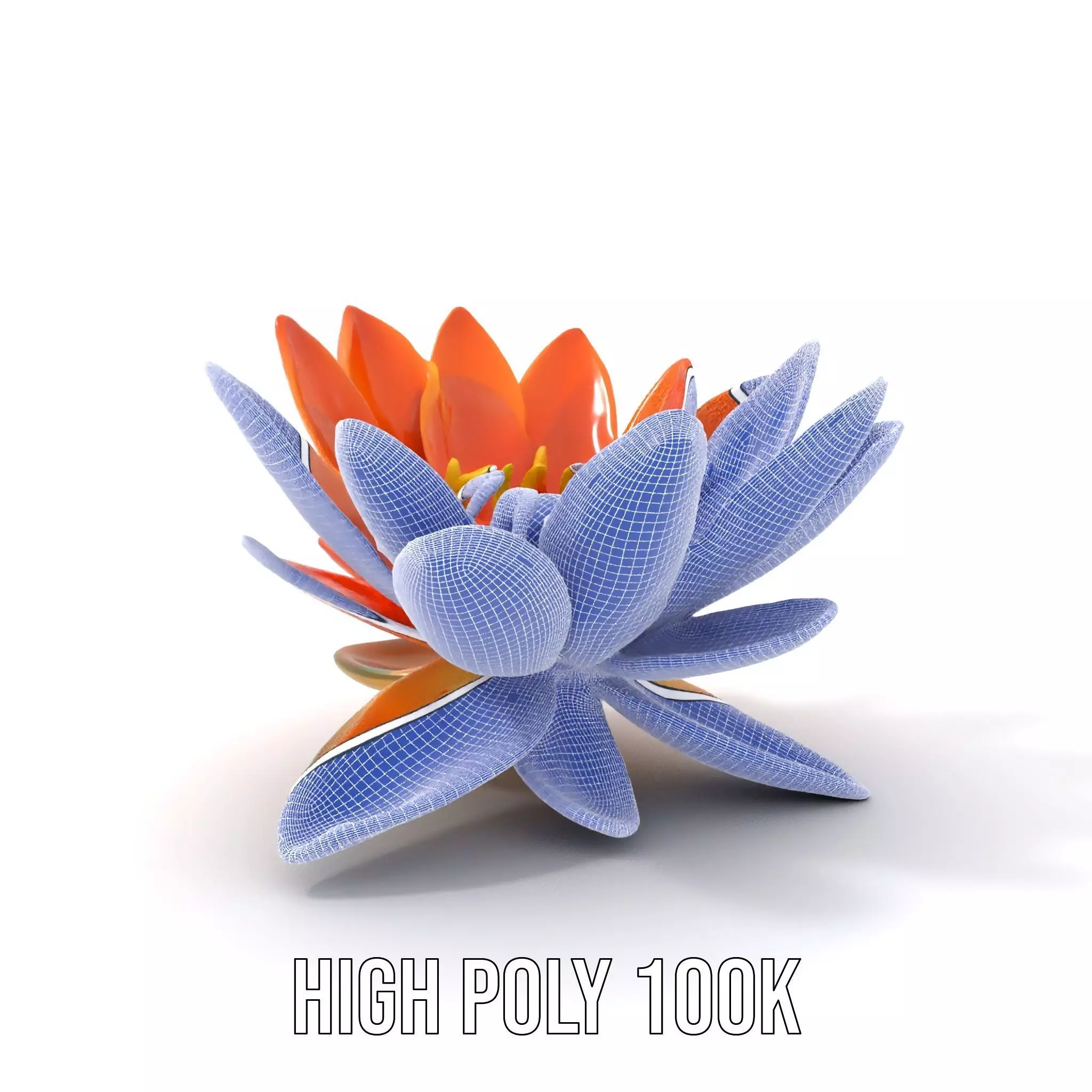 Vibrant Lotus Blossom model pack Low-poly 3D model_5