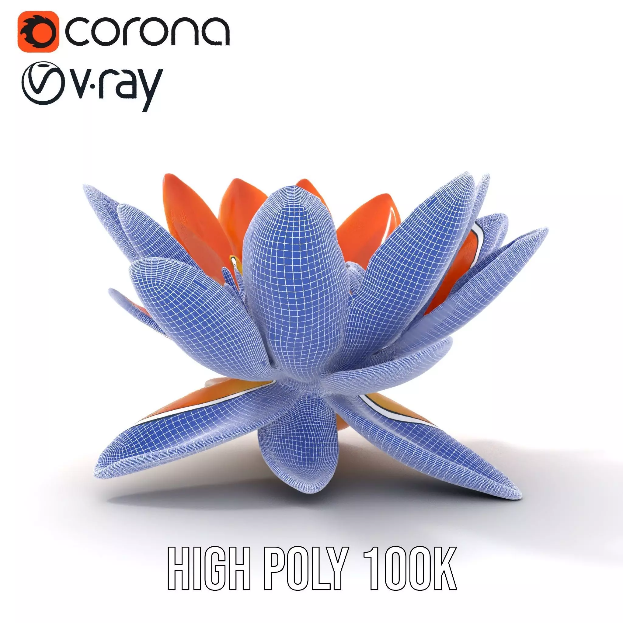 Vibrant Lotus Blossom model pack Low-poly 3D model_33