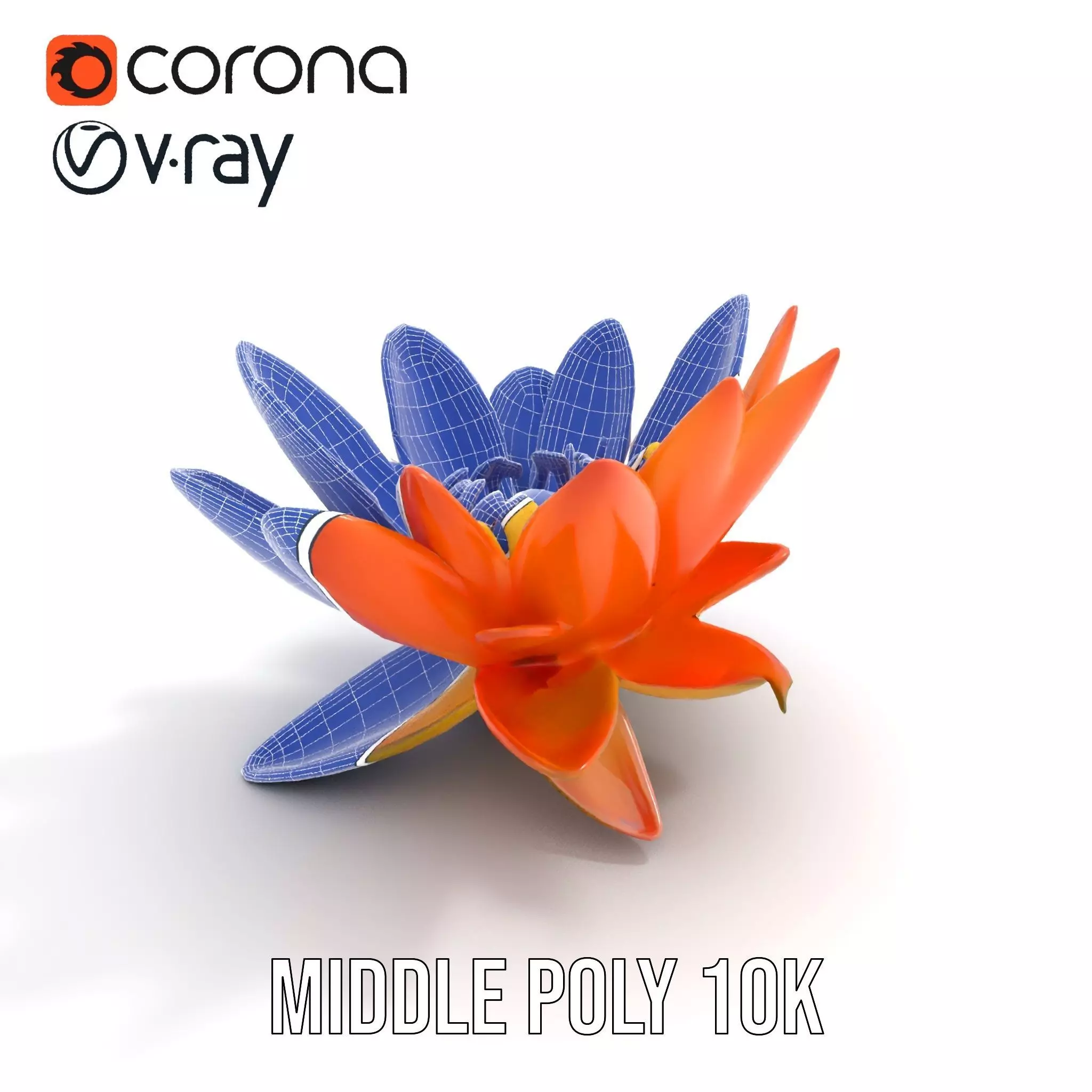 Vibrant Lotus Blossom model pack Low-poly 3D model_22