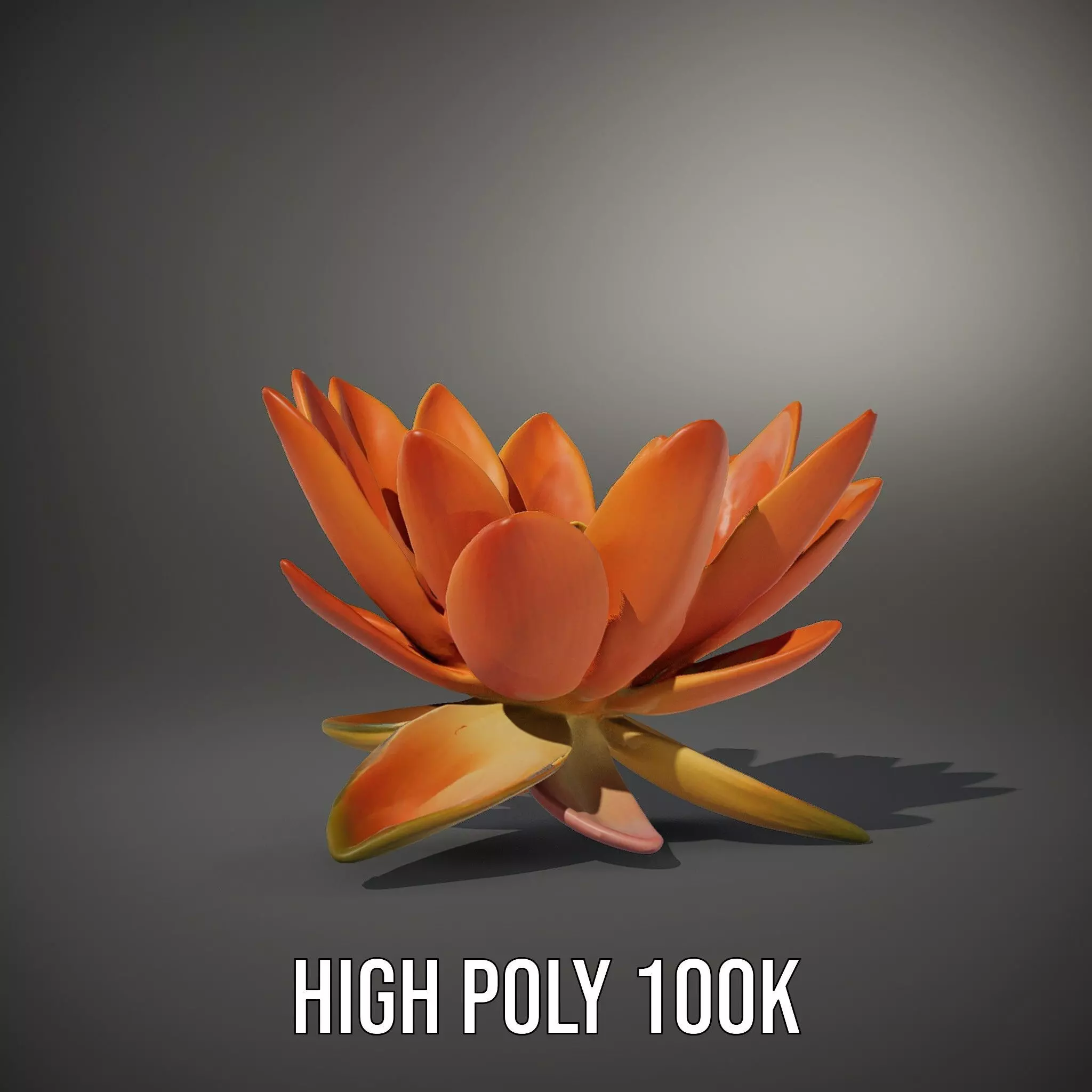 Vibrant Lotus Blossom model pack Low-poly 3D model_9