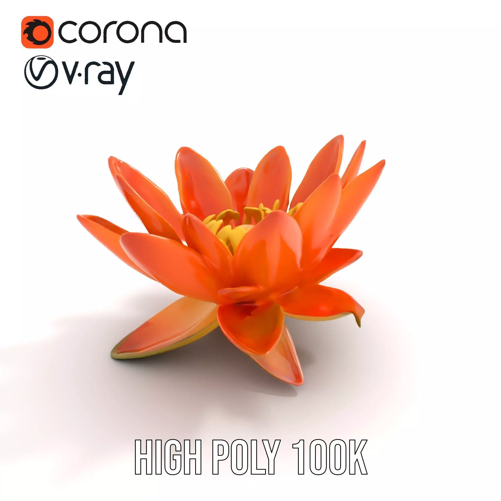 Vibrant Lotus Blossom model pack Low-poly 3D model_16
