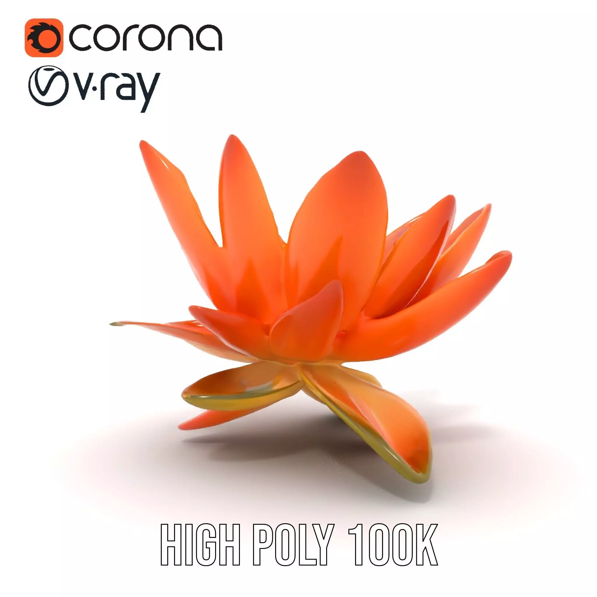Vibrant Lotus Blossom model pack Low-poly 3D model_34