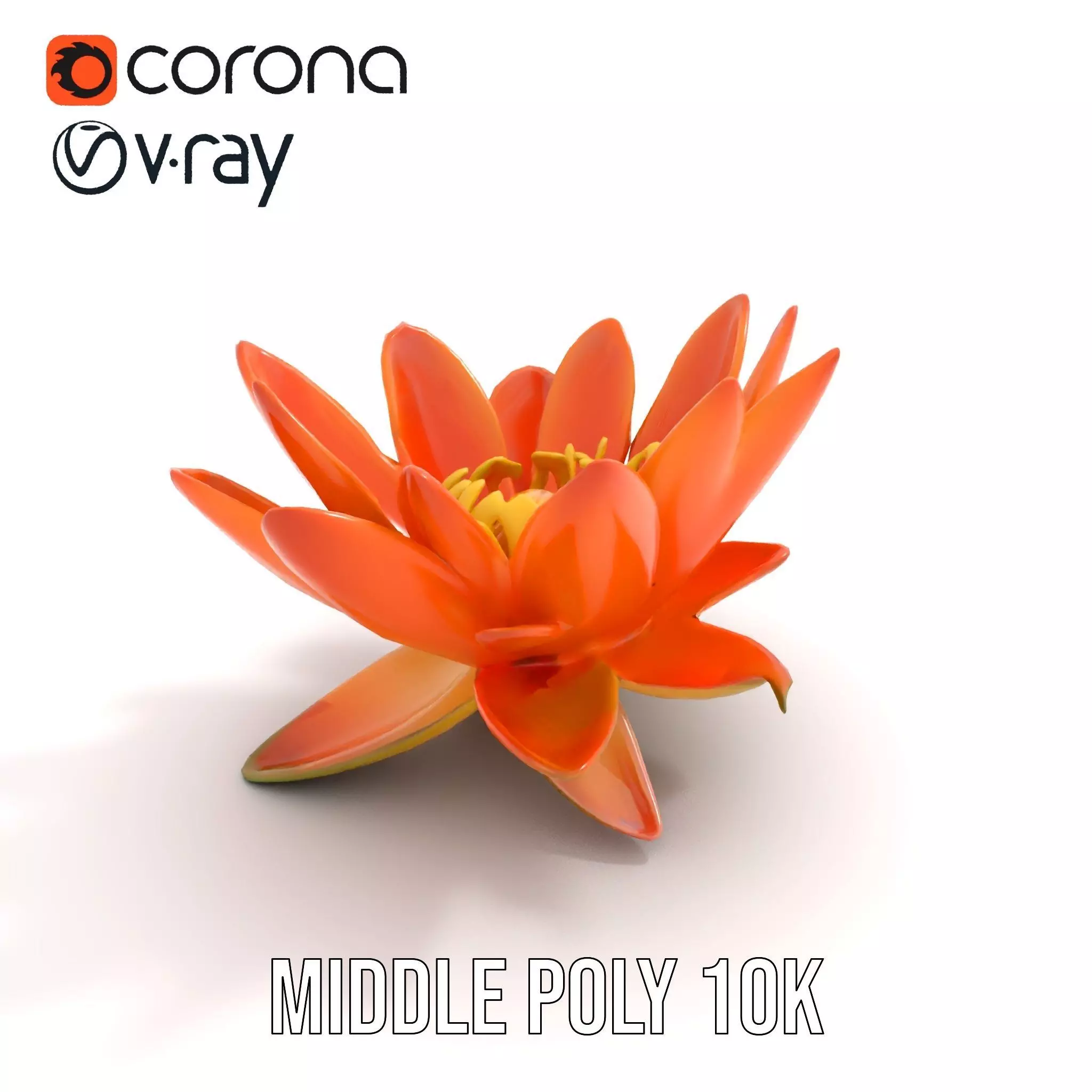 Vibrant Lotus Blossom model pack Low-poly 3D model_7