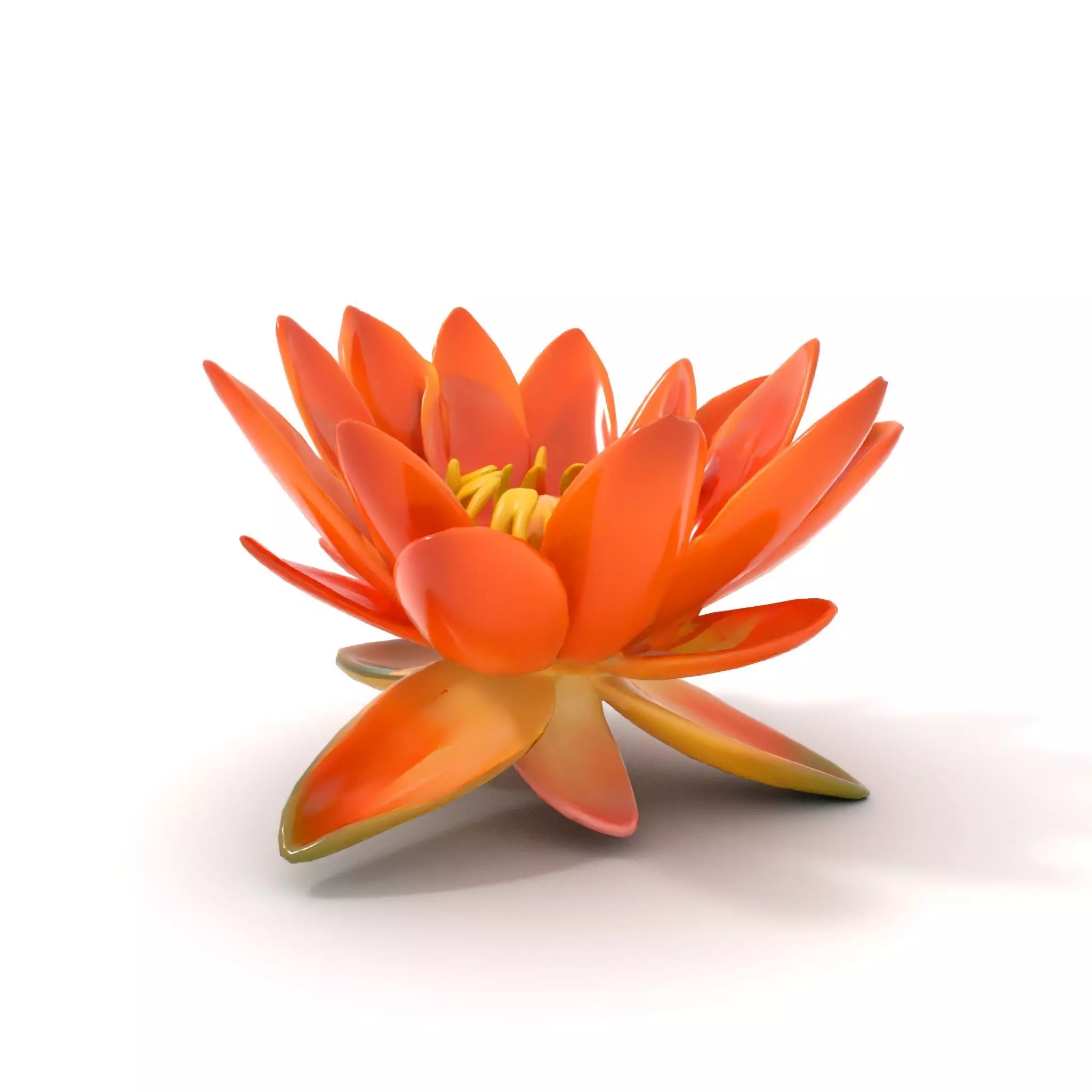 Vibrant Lotus Blossom model pack Low-poly 3D model_6