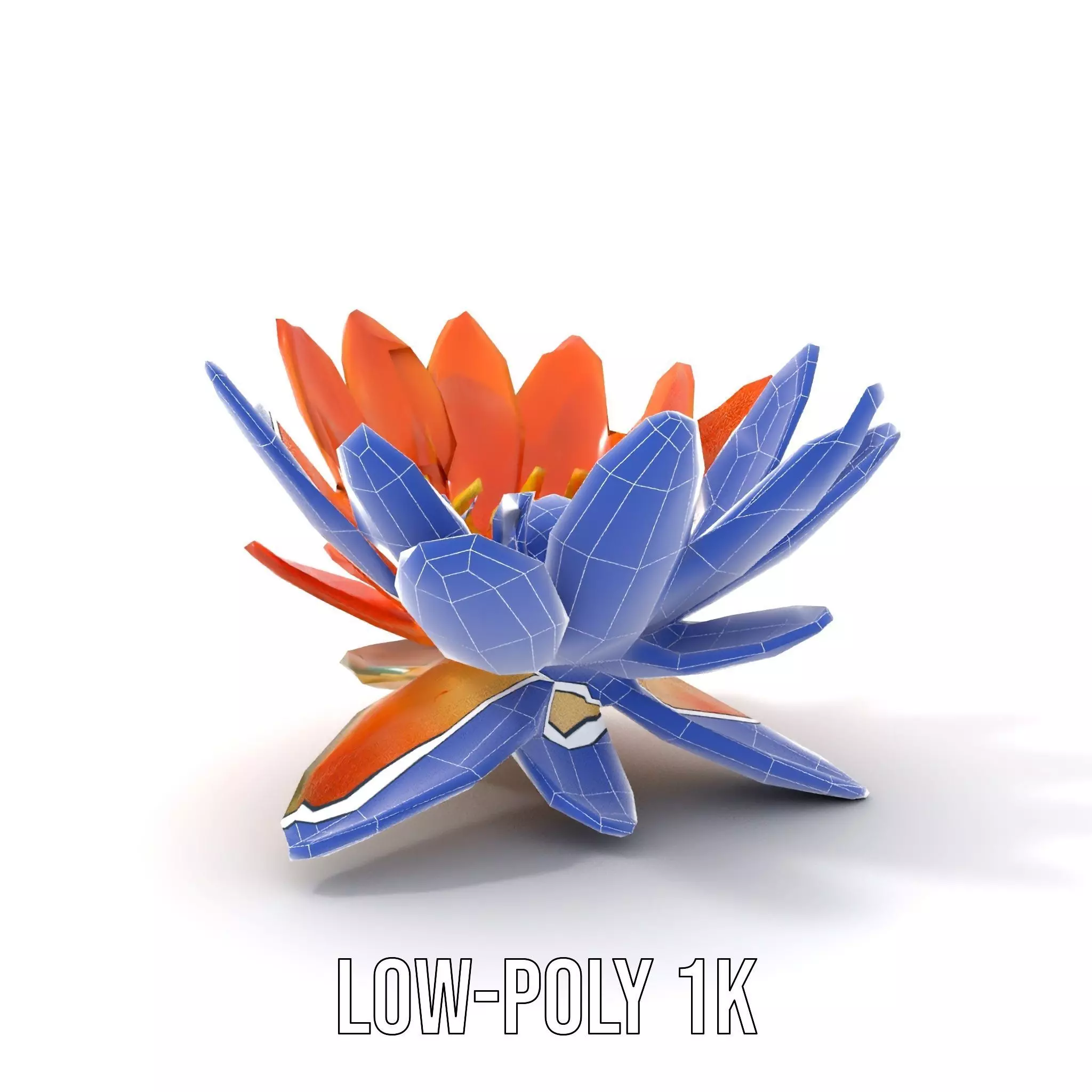 Vibrant Lotus Blossom model pack Low-poly 3D model_18