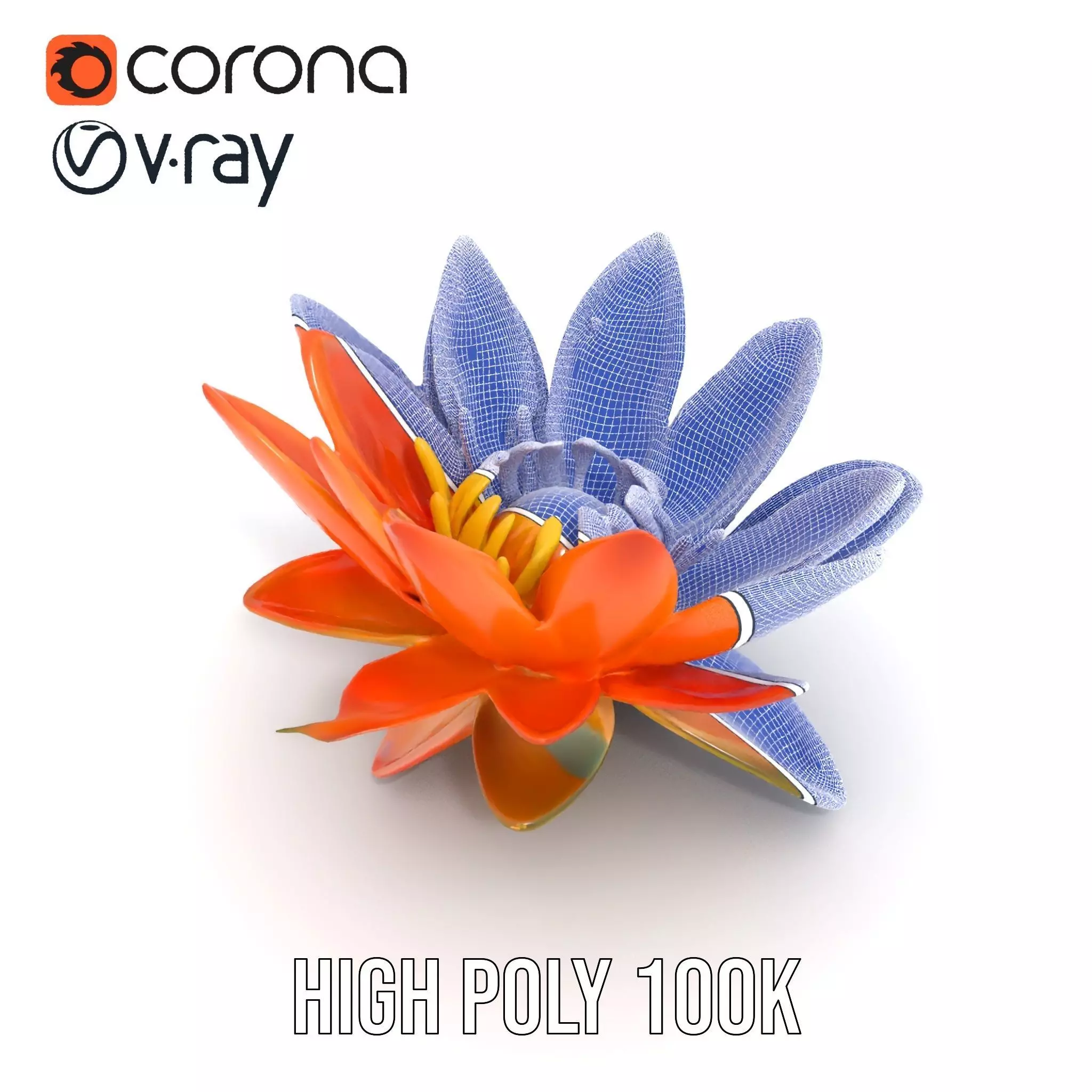 Vibrant Lotus Blossom model pack Low-poly 3D model_30