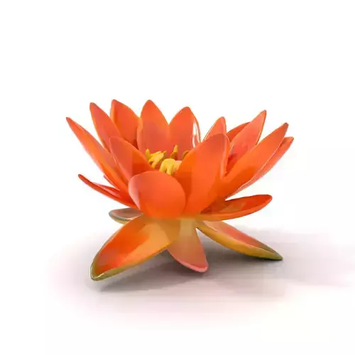 Vibrant Lotus Blossom model pack Low-poly 3D model