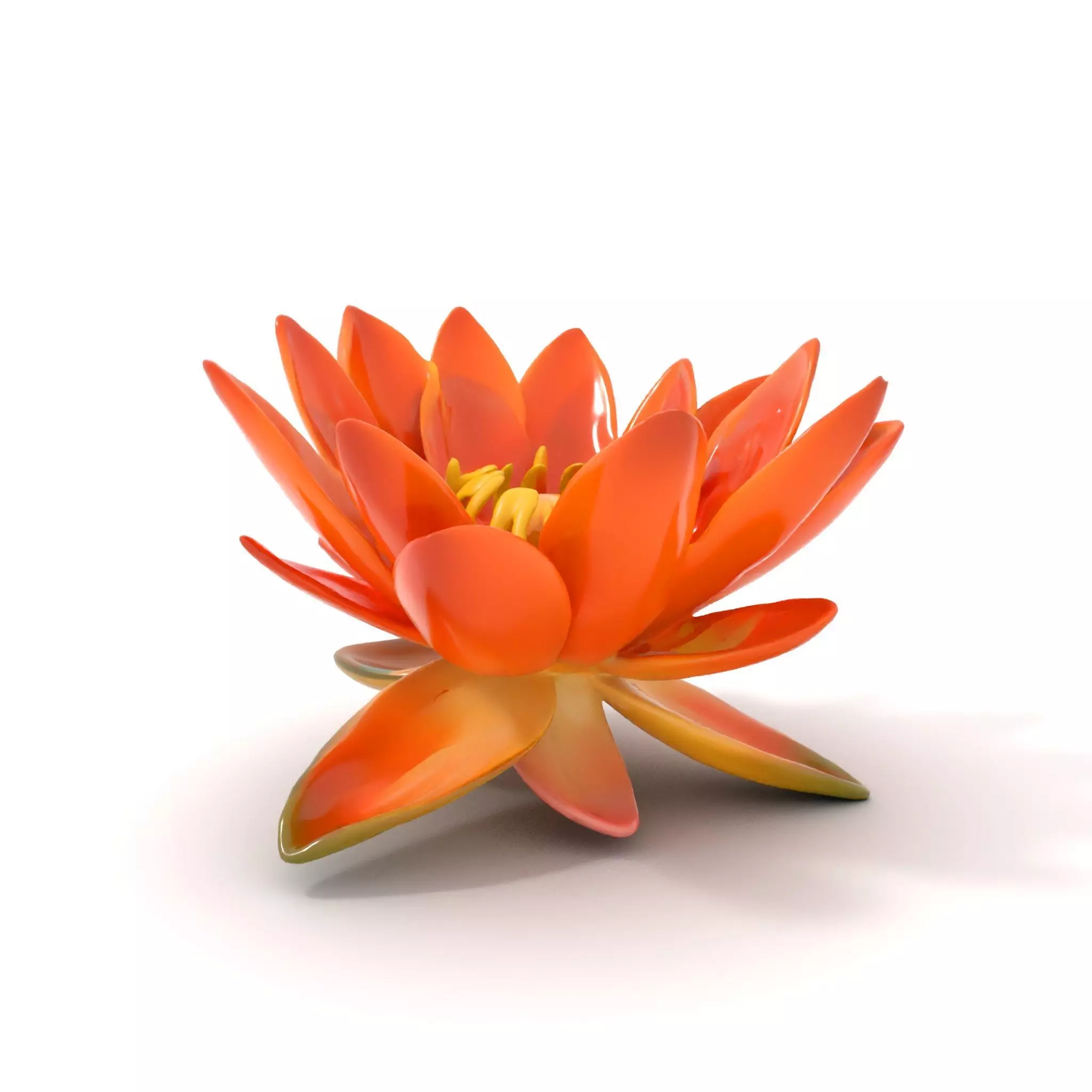 Vibrant Lotus Blossom model pack Low-poly 3D model_0
