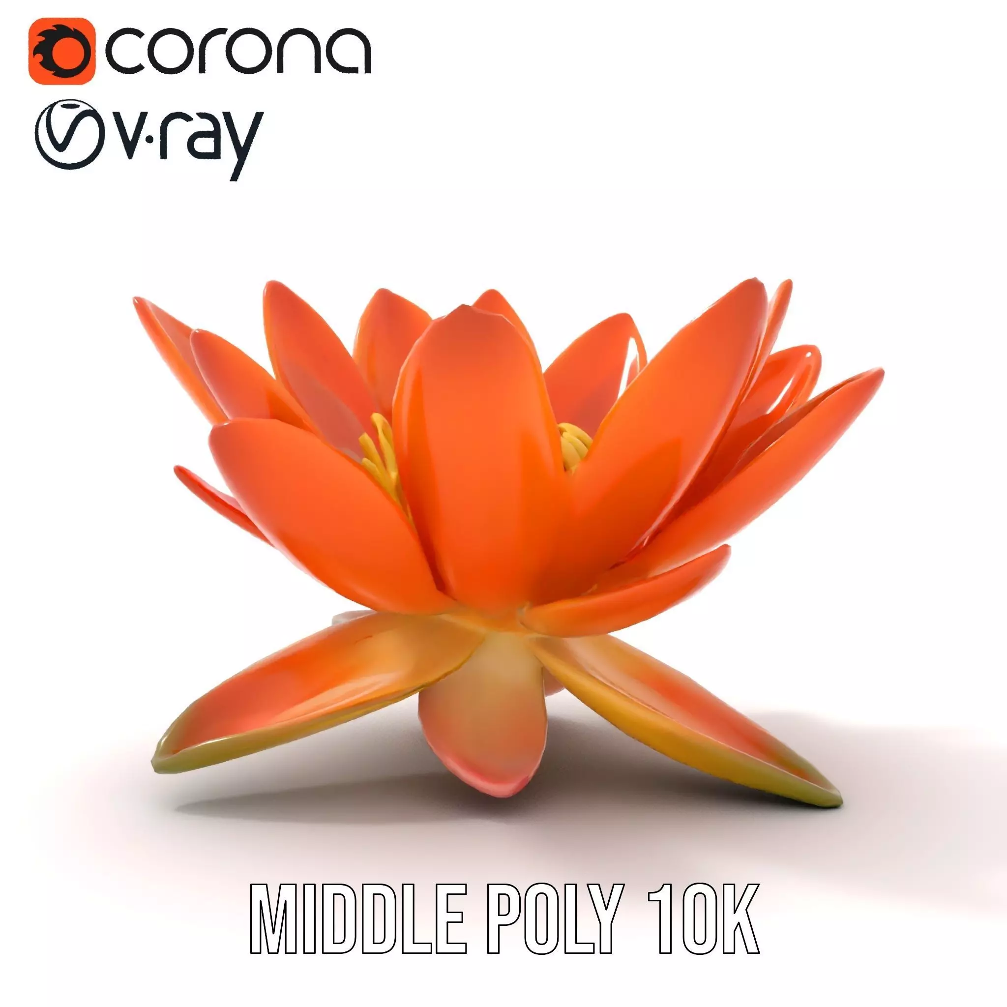 Vibrant Lotus Blossom model pack Low-poly 3D model_17