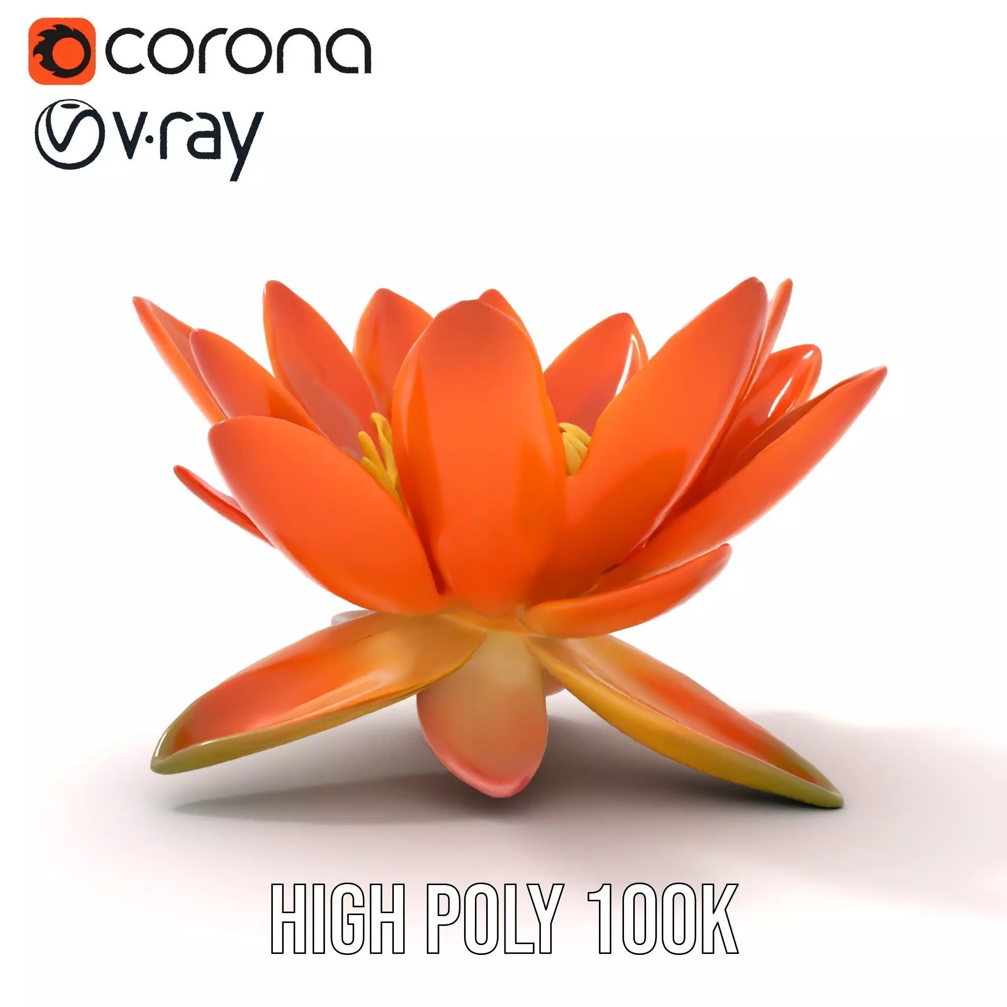 Vibrant Lotus Blossom model pack Low-poly 3D model_27