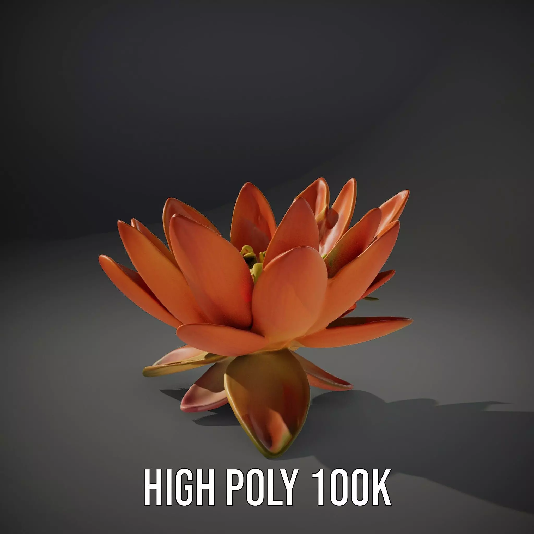 Vibrant Lotus Blossom model pack Low-poly 3D model_11