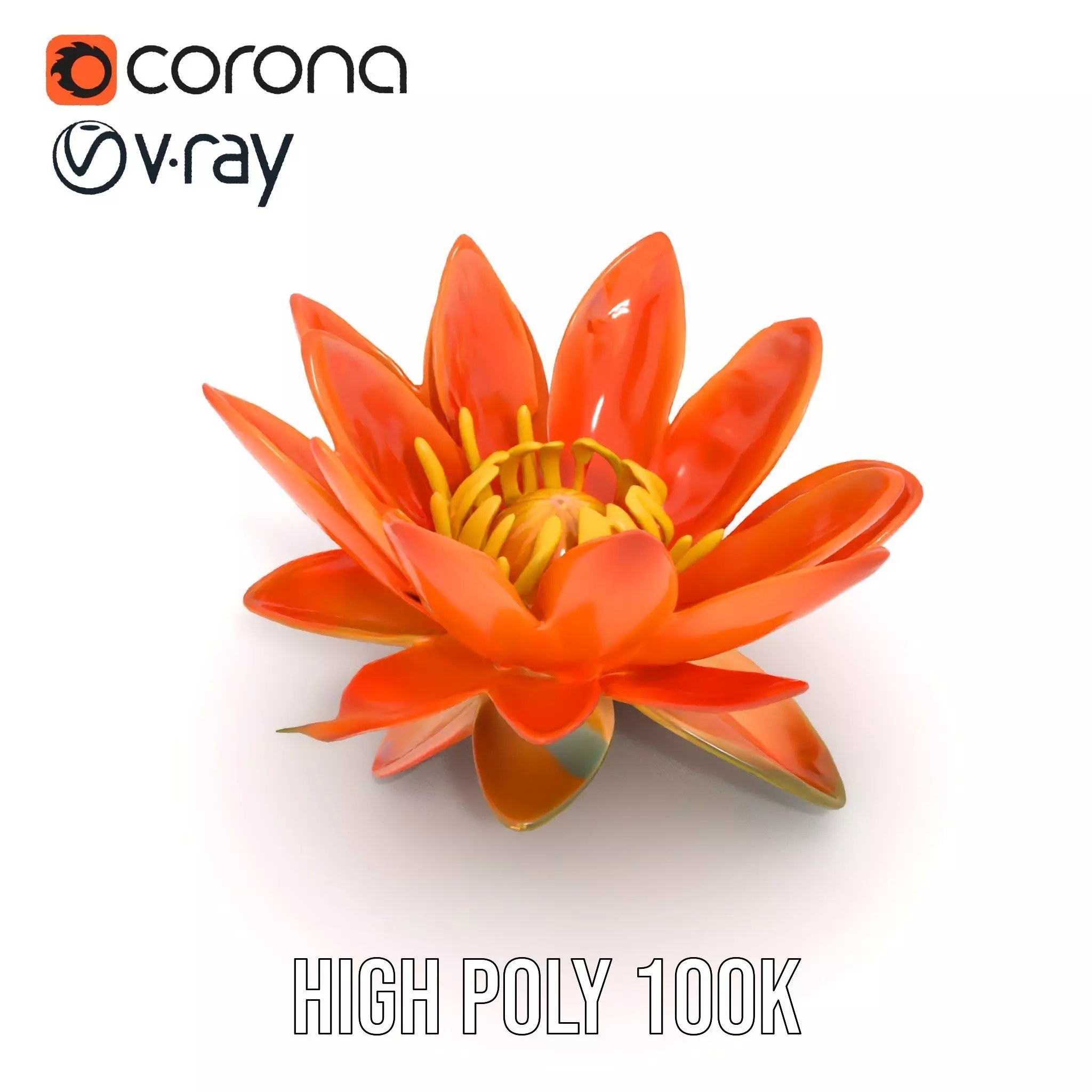 Vibrant Lotus Blossom model pack Low-poly 3D model_21