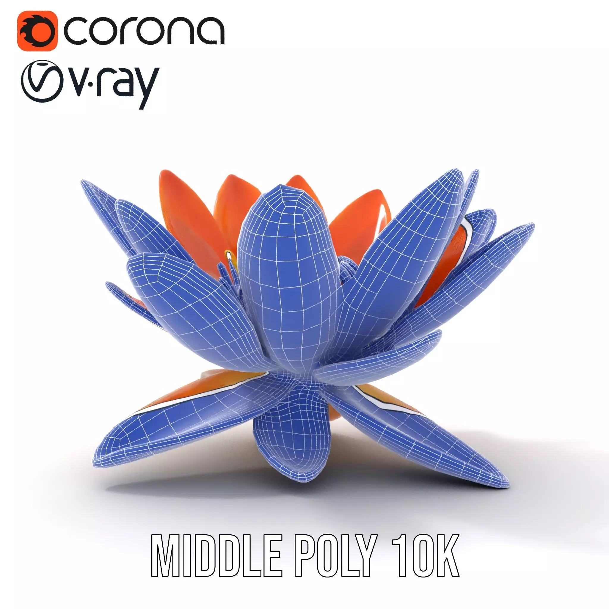Vibrant Lotus Blossom model pack Low-poly 3D model_31