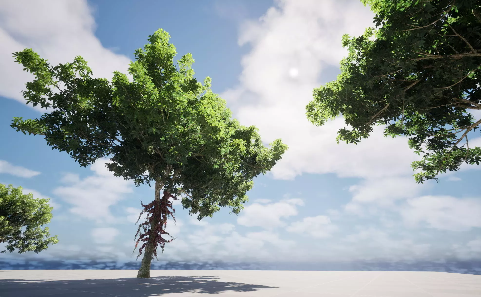 Wind UE5 Plants - Low-poly 3D model_4