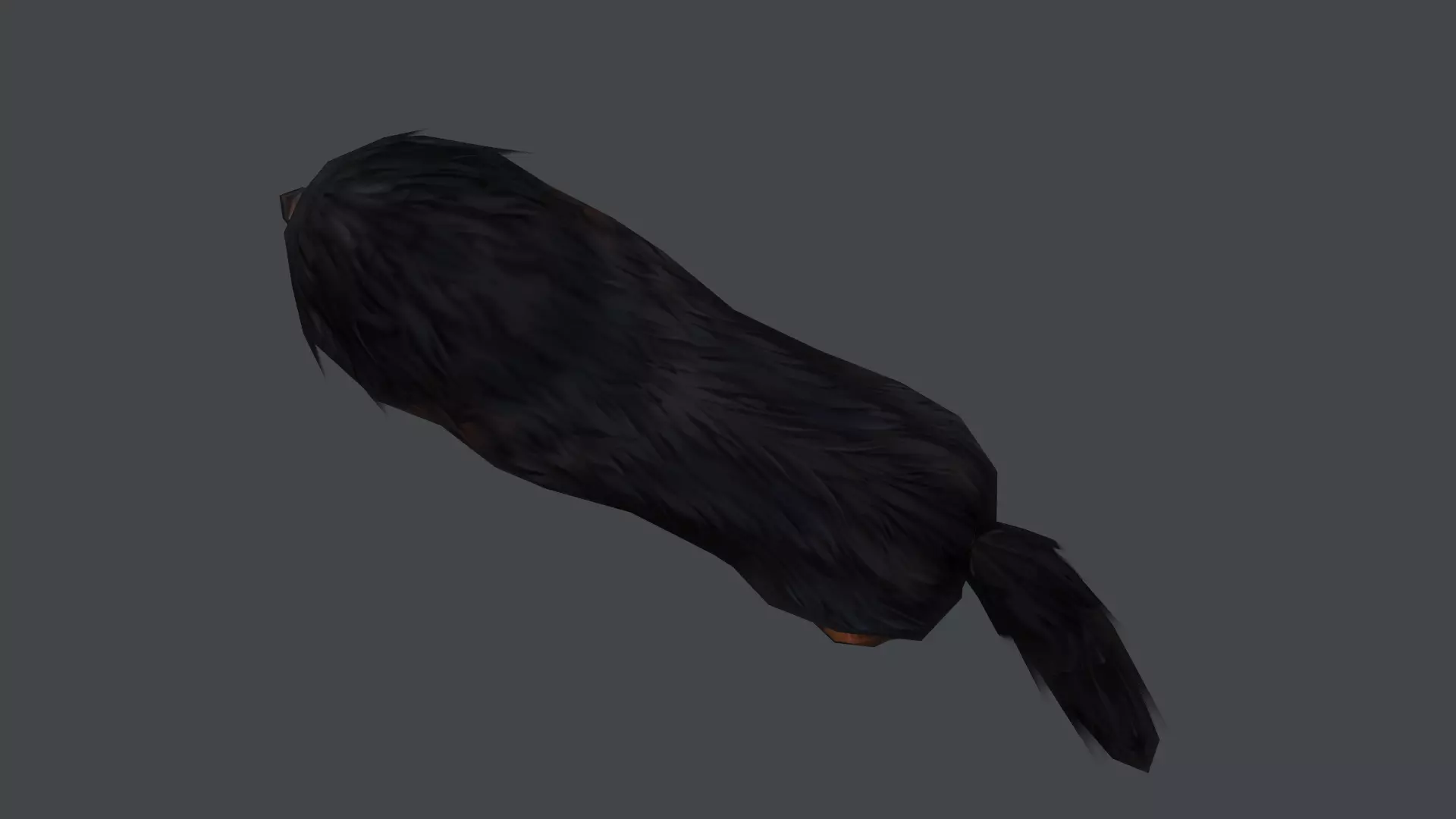 Tibetan Mastiff Dog Low-poly 3D model_4