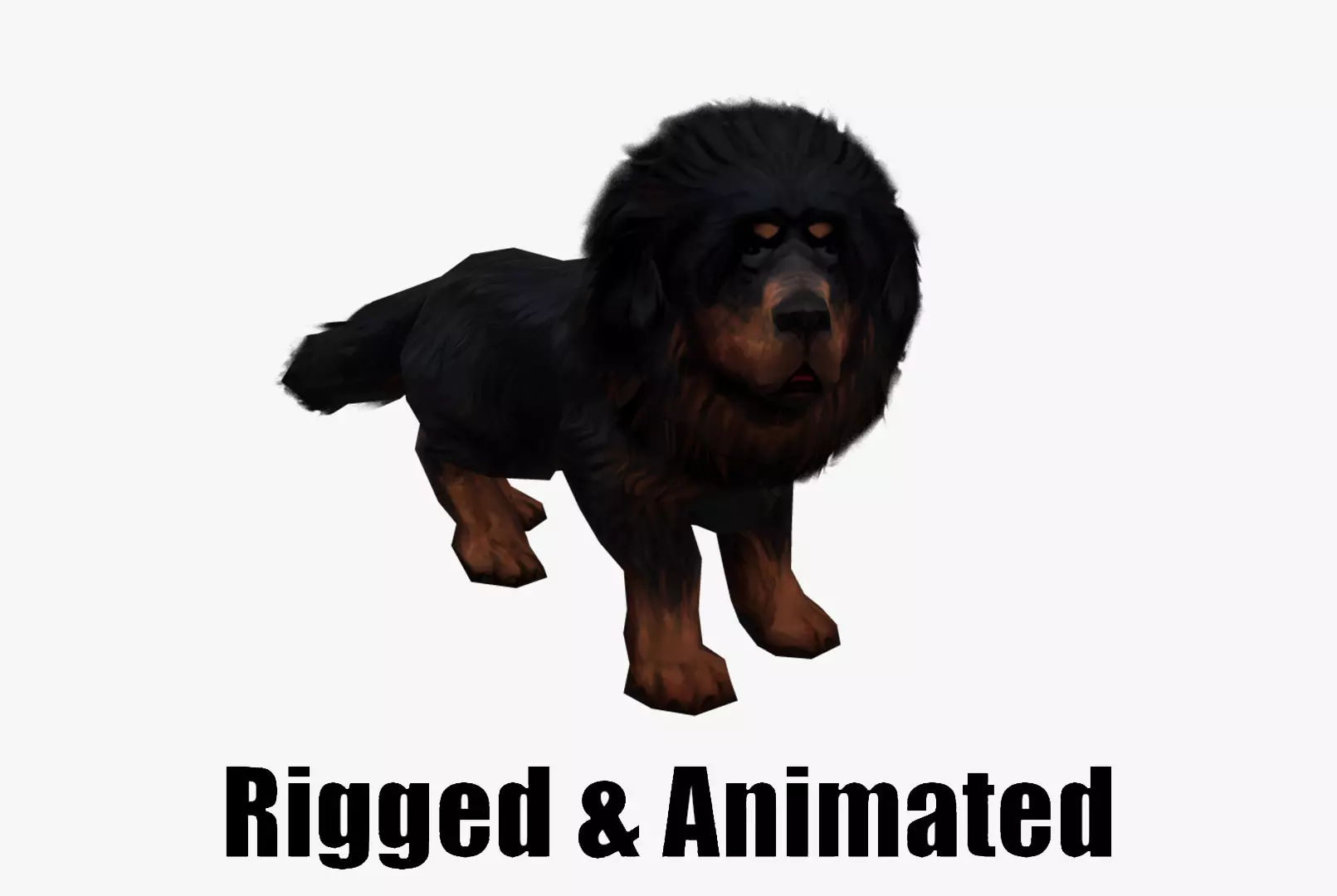 Tibetan Mastiff Dog Low-poly 3D model_0