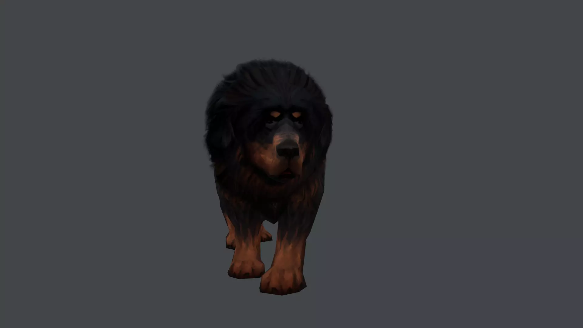 Tibetan Mastiff Dog Low-poly 3D model_3