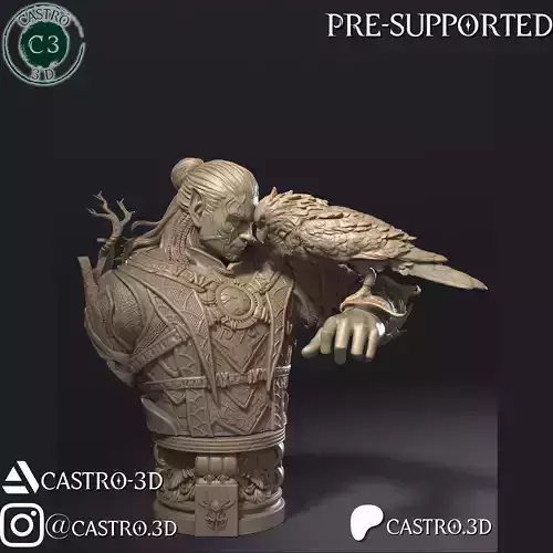 Halsin - BG3 Bust Collection 3D print model