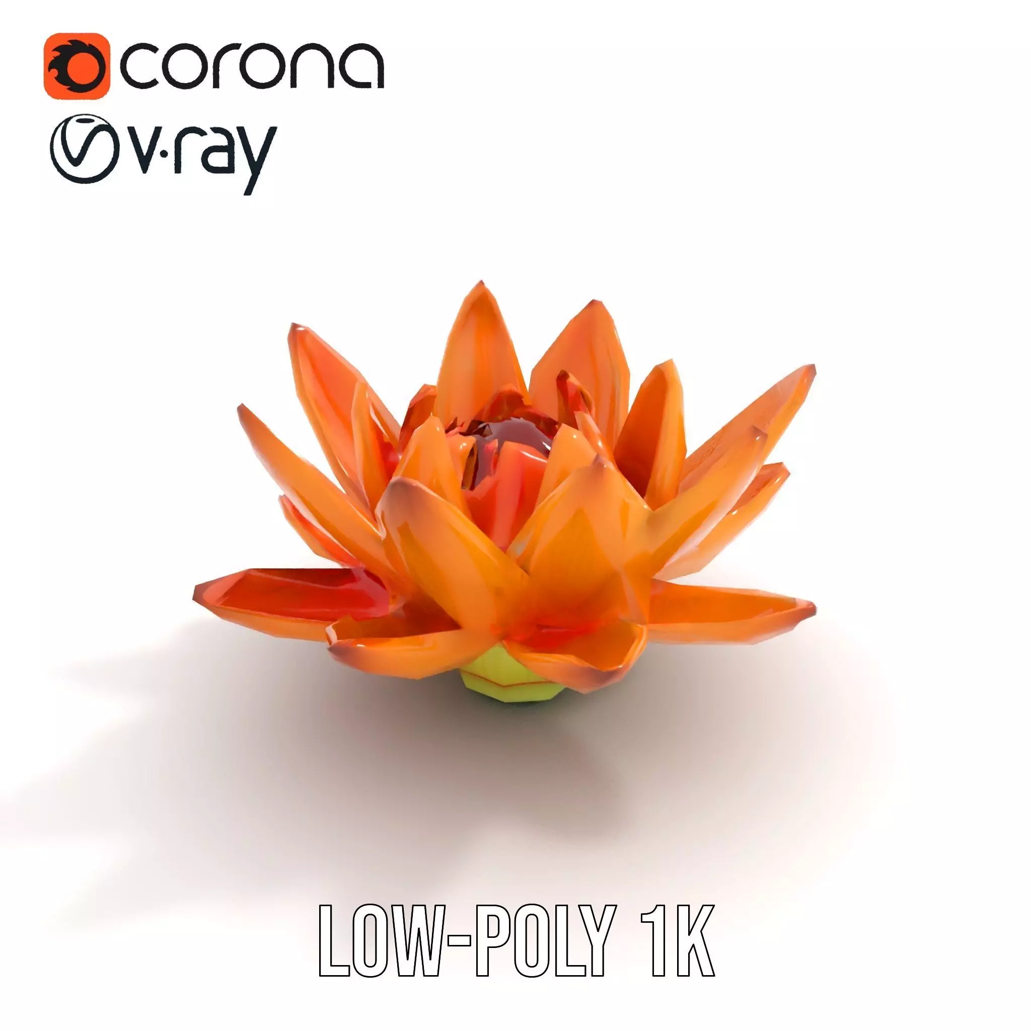 Vibrant Lotus Bloom model pack Low-poly 3D model_9
