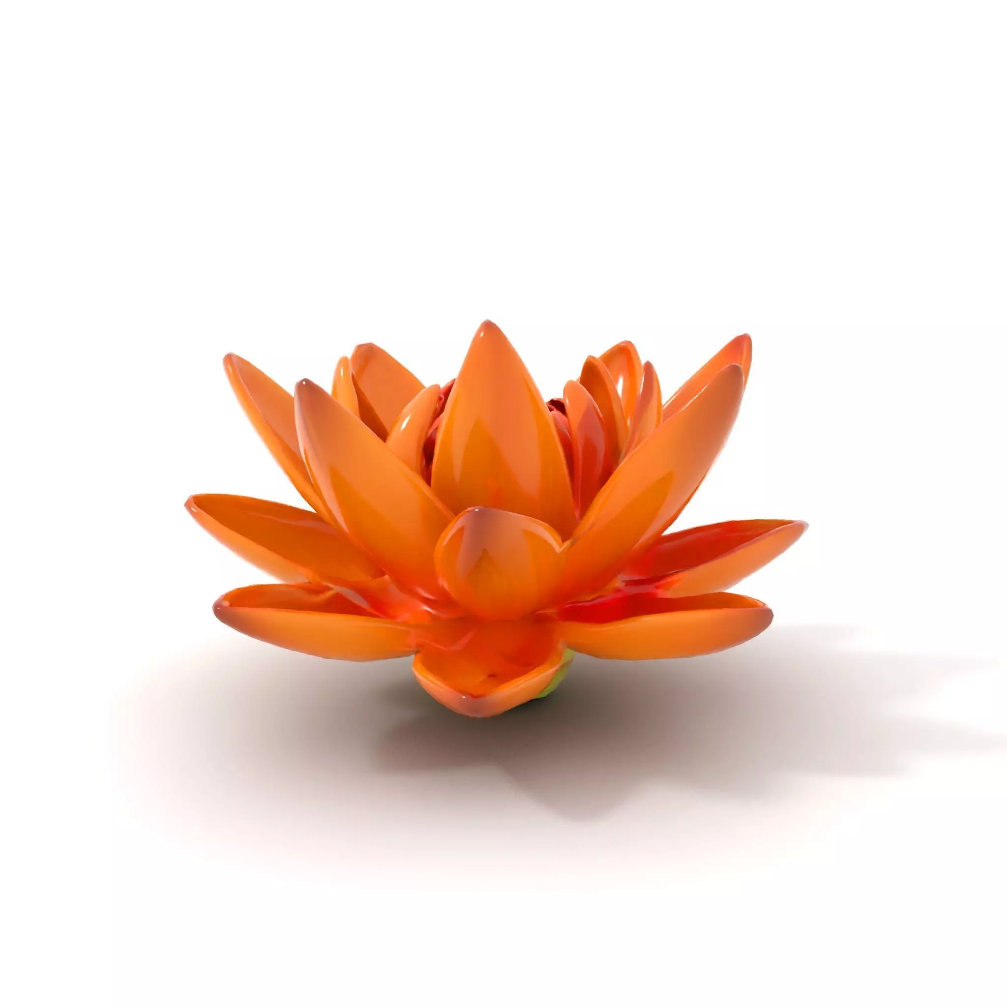 Vibrant Lotus Bloom model pack Low-poly 3D model_22