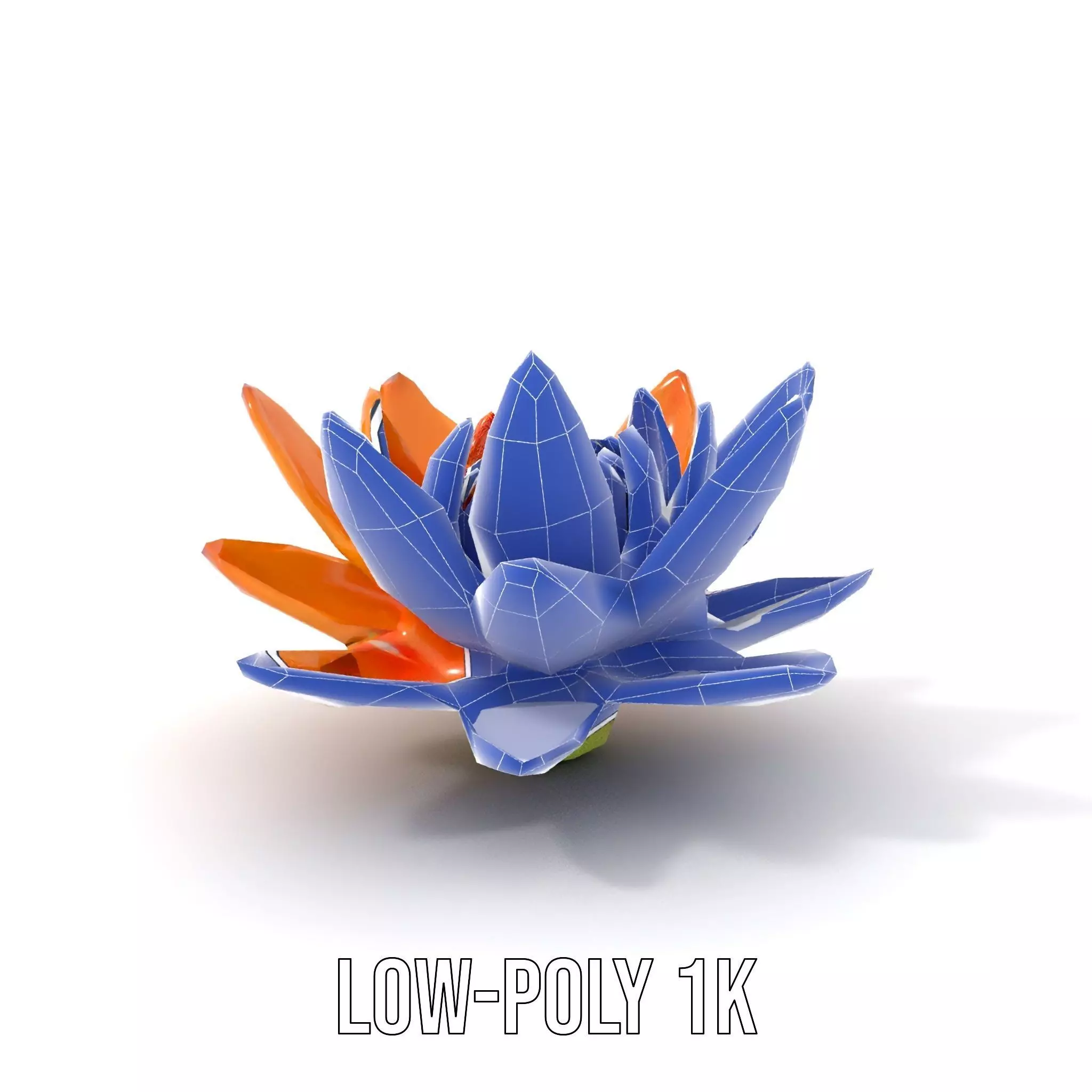 Vibrant Lotus Bloom model pack Low-poly 3D model_23