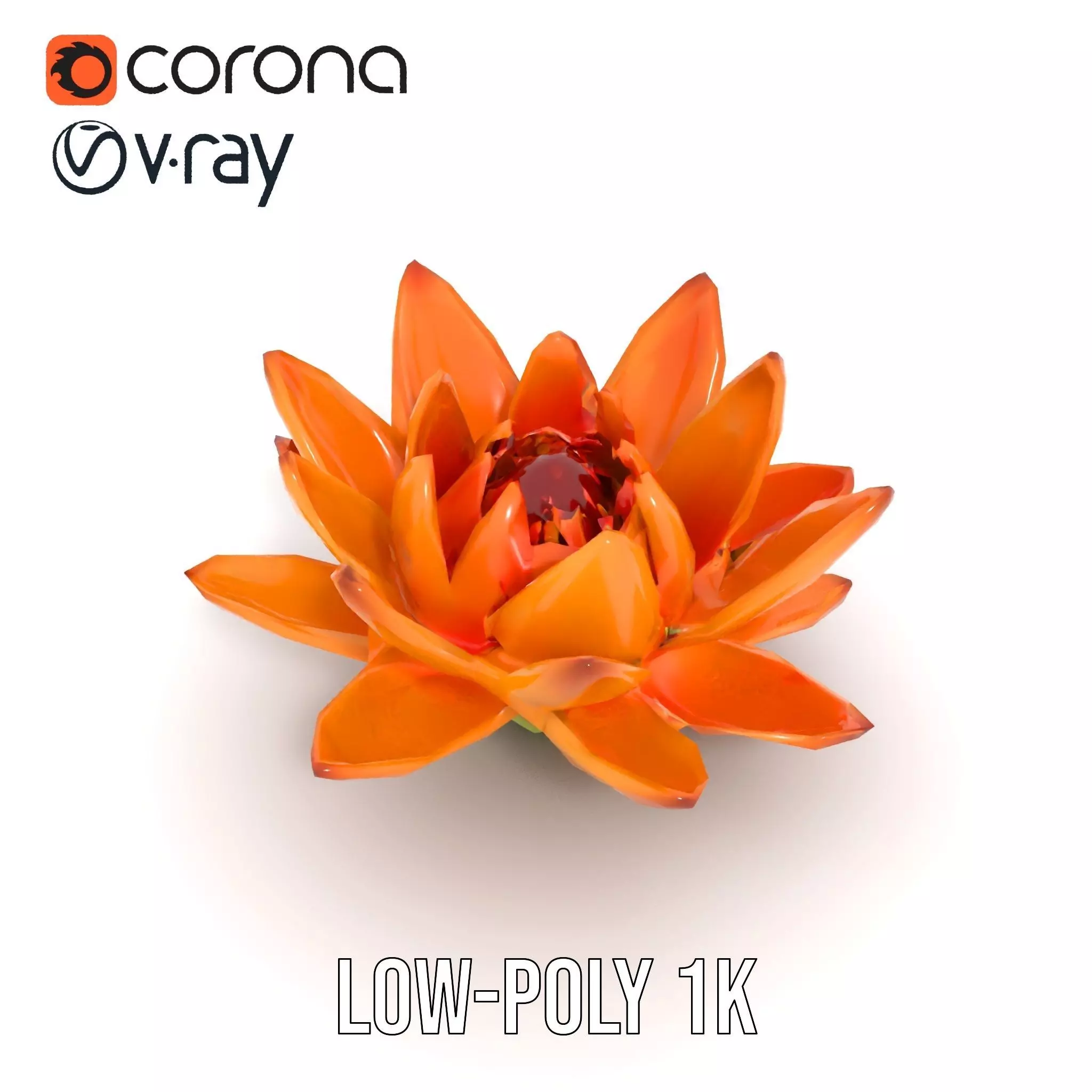 Vibrant Lotus Bloom model pack Low-poly 3D model_29