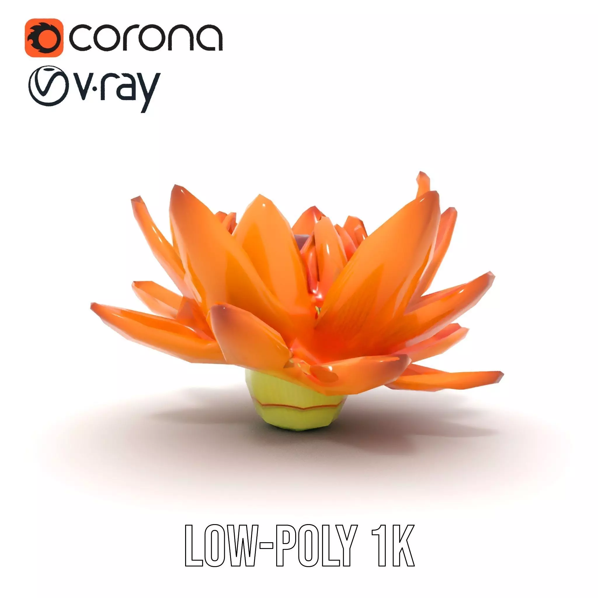 Vibrant Lotus Bloom model pack Low-poly 3D model_20