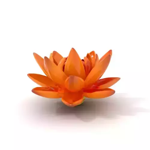 Vibrant Lotus Bloom model pack Low-poly 3D model