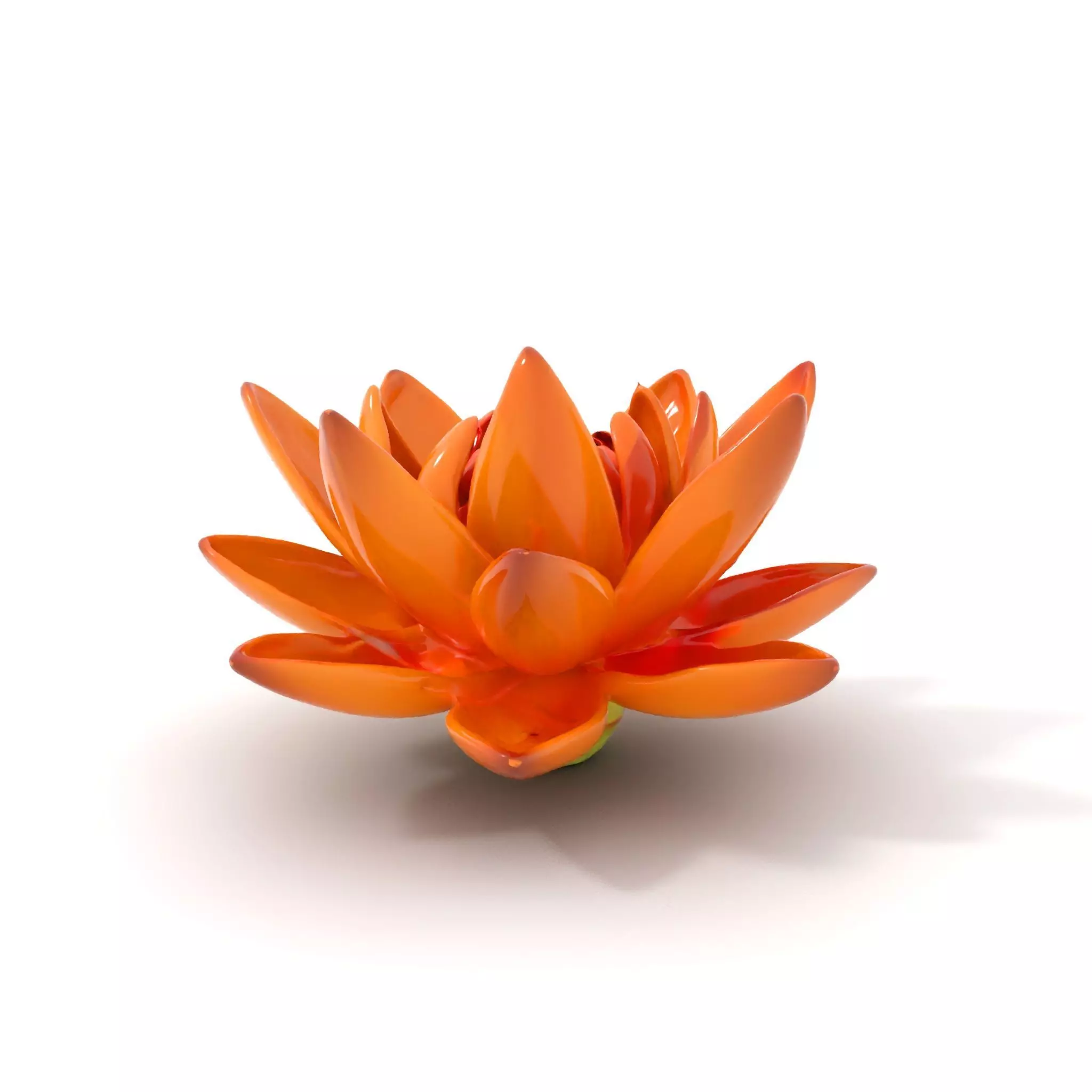 Vibrant Lotus Bloom model pack Low-poly 3D model_0