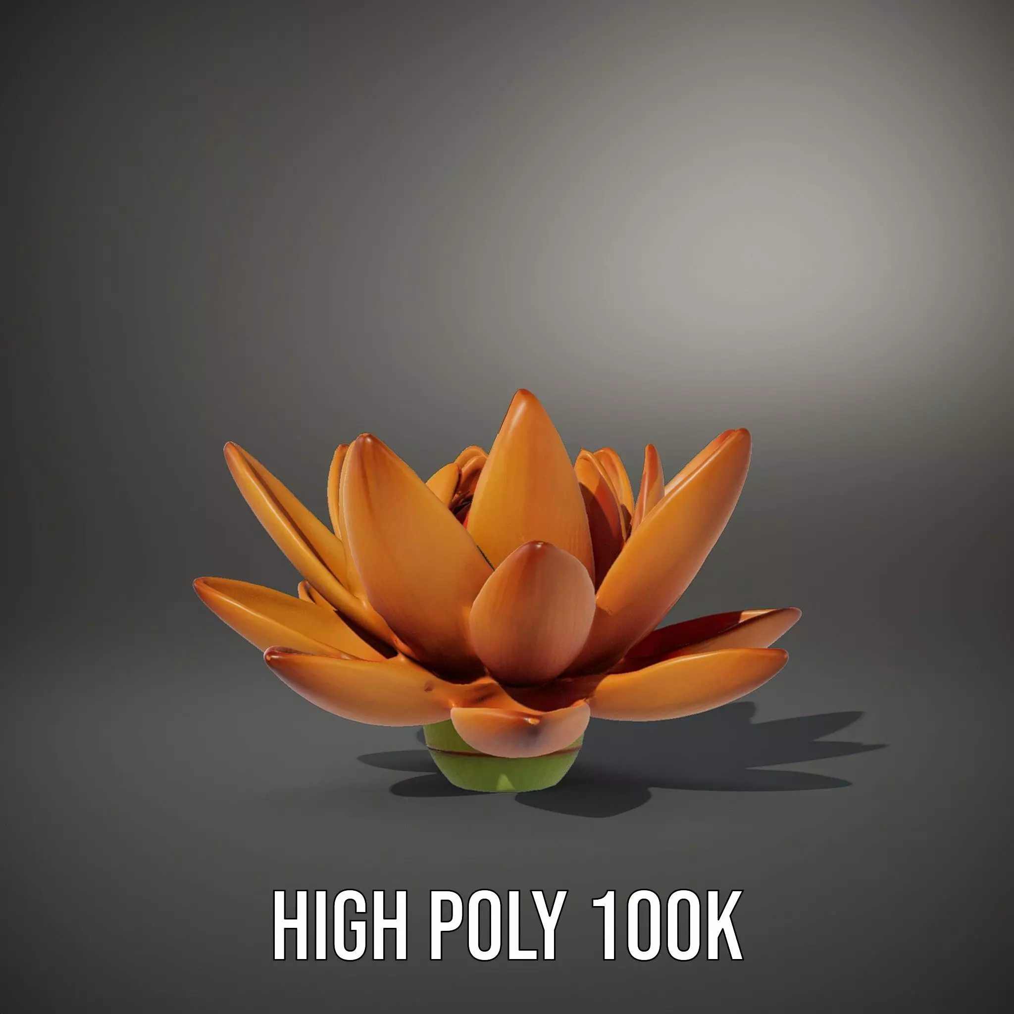 Vibrant Lotus Bloom model pack Low-poly 3D model_32