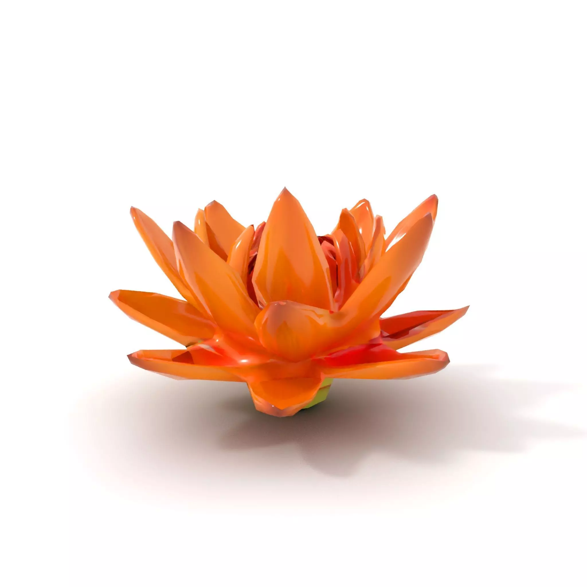 Vibrant Lotus Bloom model pack Low-poly 3D model_12
