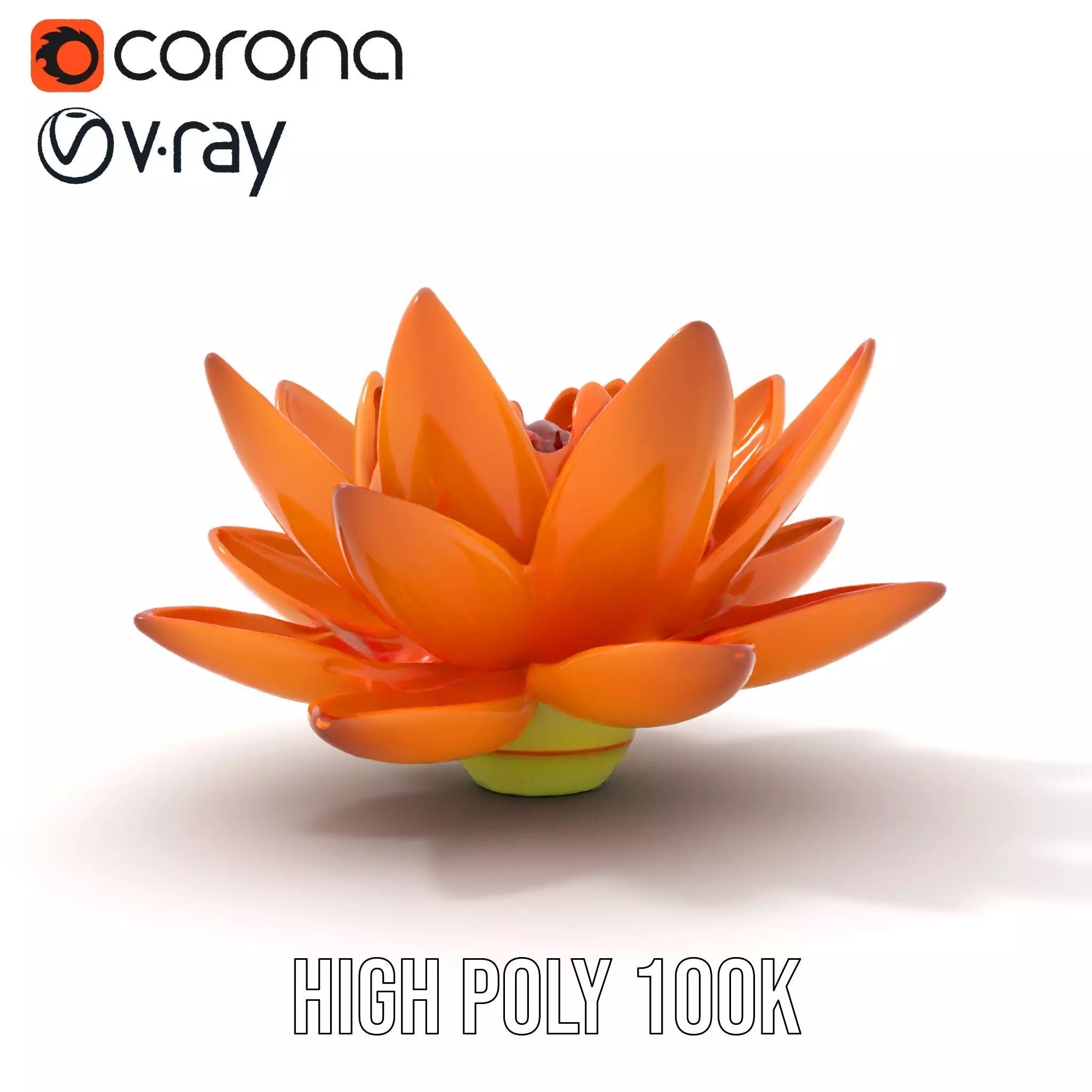 Vibrant Lotus Bloom model pack Low-poly 3D model_21